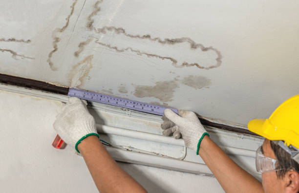 Reliable Basement Water Removal contractor in Caledonia, MI by Water Damage Irwin